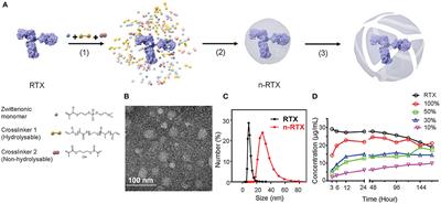 Enhanced Delivery of Rituximab Into Brain and Lymph Nodes Using Timed-Release Nanocapsules in Non-Human Primates